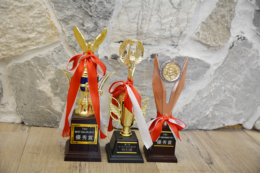 ドッグトリミング|アネラ