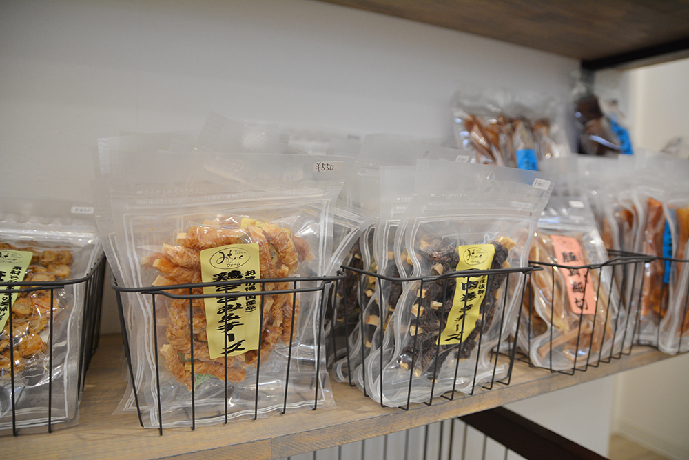 ドッグトリミング|アネラ