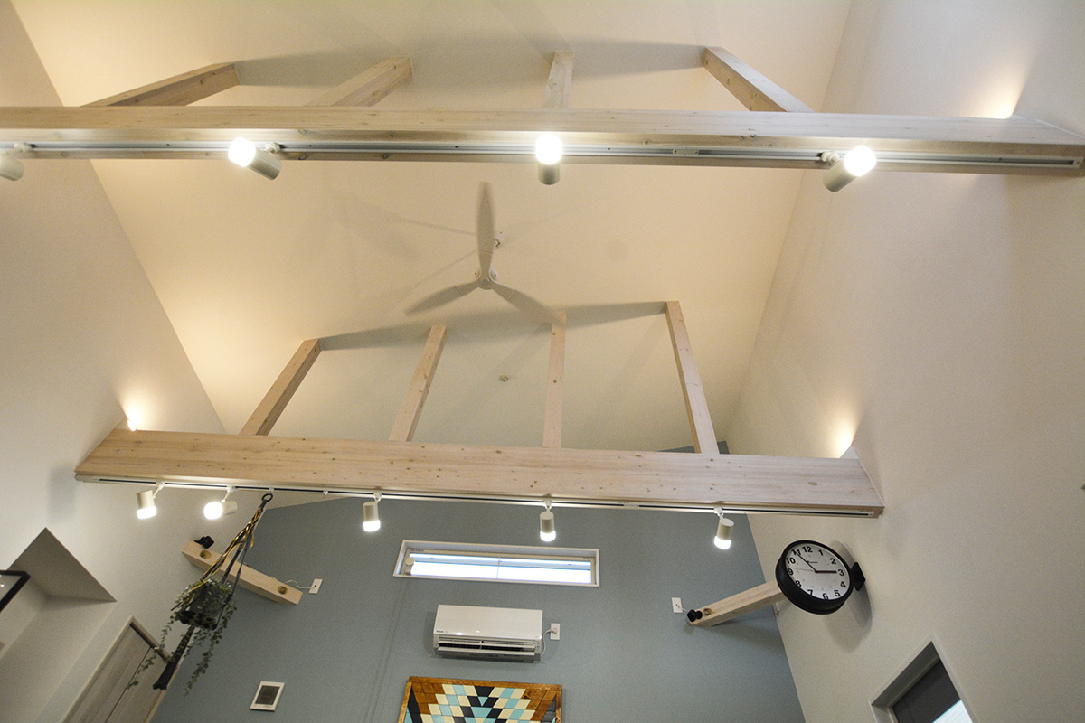 ドッグトリミング|アネラ