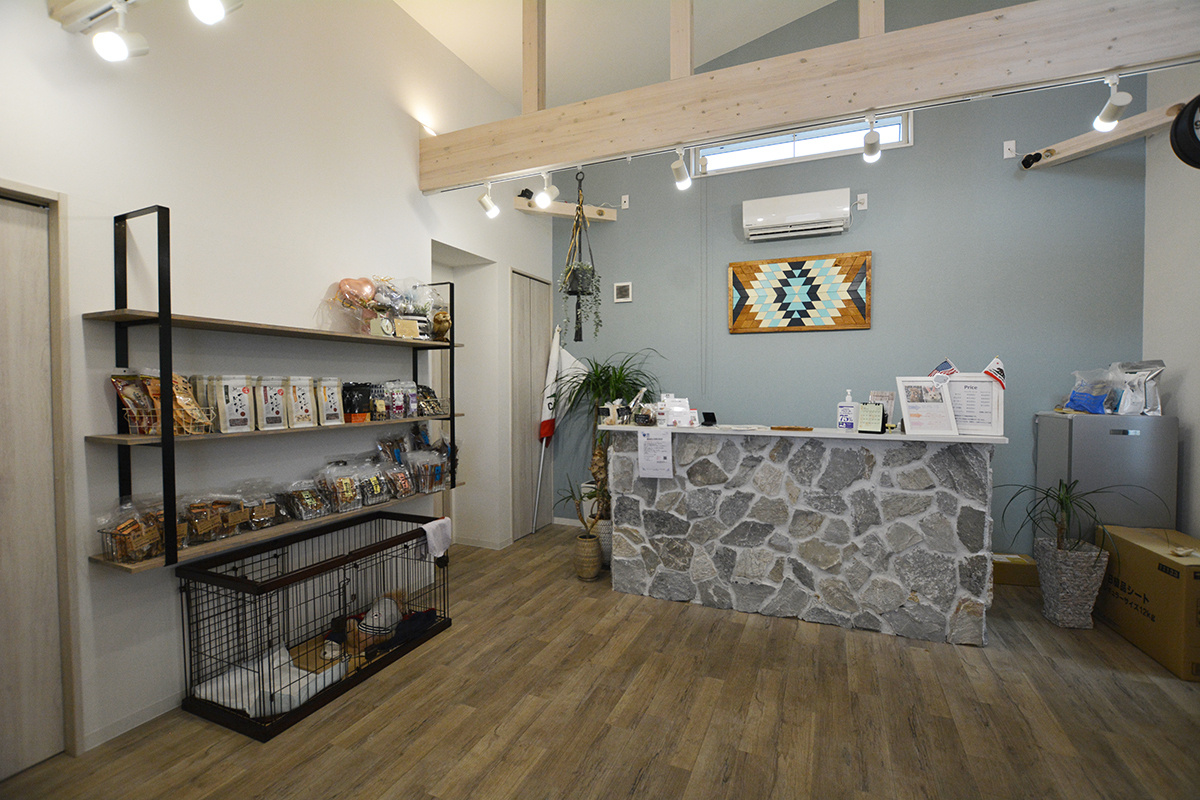 ドッグトリミング|アネラ